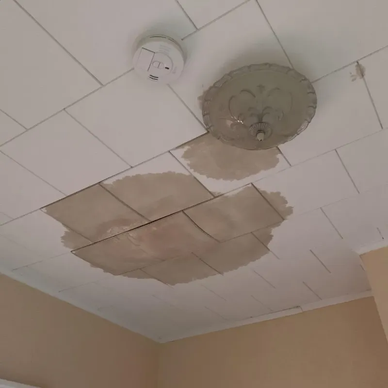 Ceiling Water Damage Repair in Henderson, TX