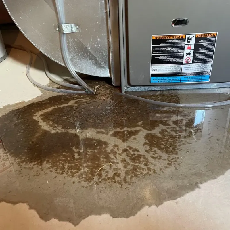 Pipe Burst and Leak Restoration in Henderson, TX