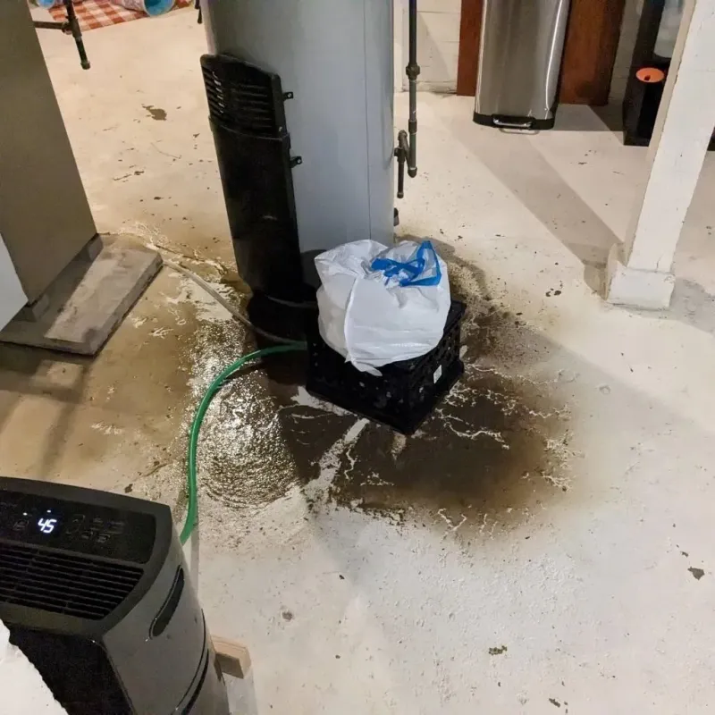 Sewage Backup Cleanup Service in Henderson, TX